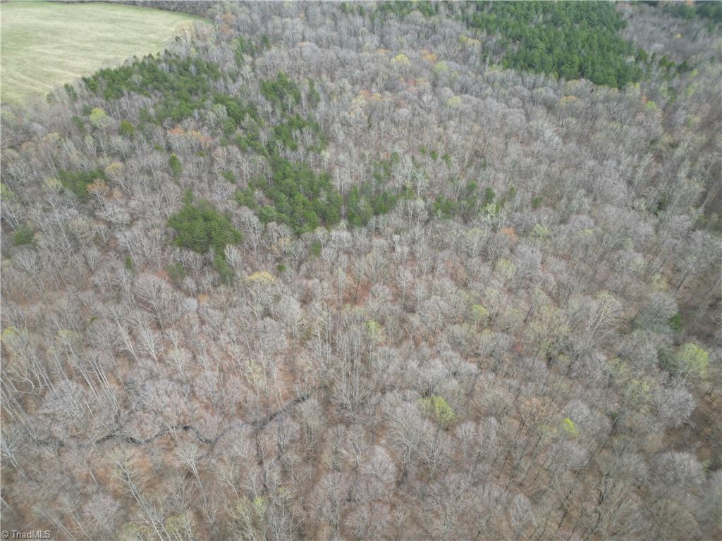 0 Tilden Nursery Road Lexington, NC 27295 - Photo 25 of 27