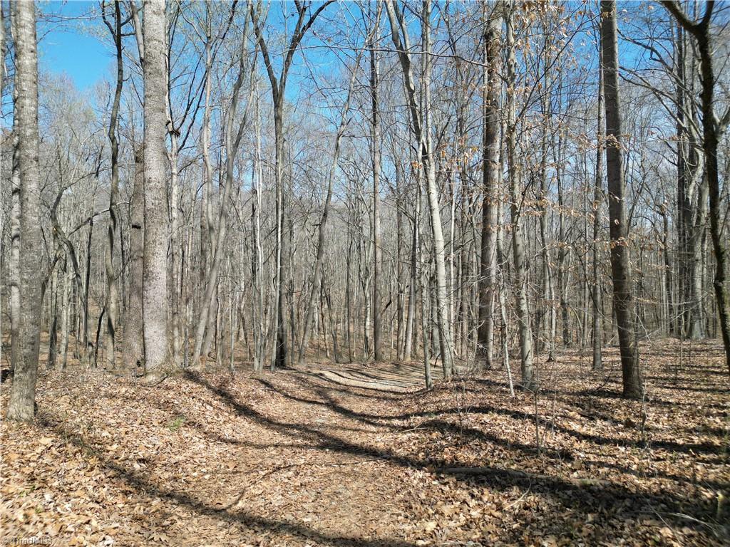 0 Tilden Nursery Road Lexington, NC 27295 - Photo 5 of 27