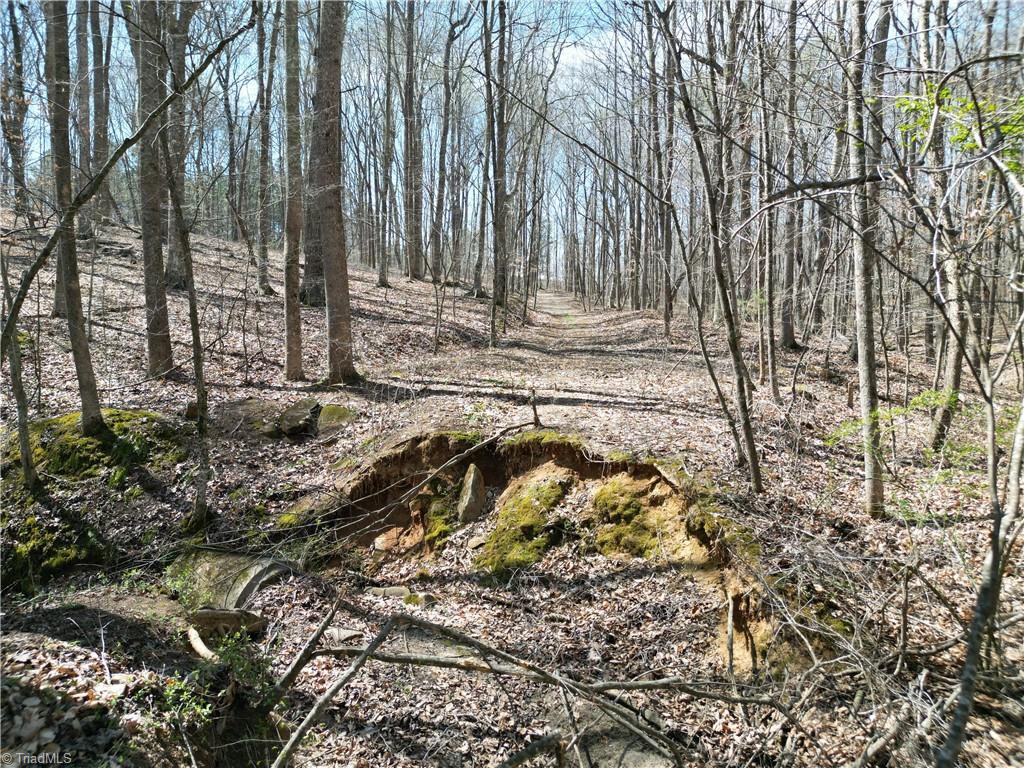 0 Tilden Nursery Road Lexington, NC 27295 - Photo 6 of 27