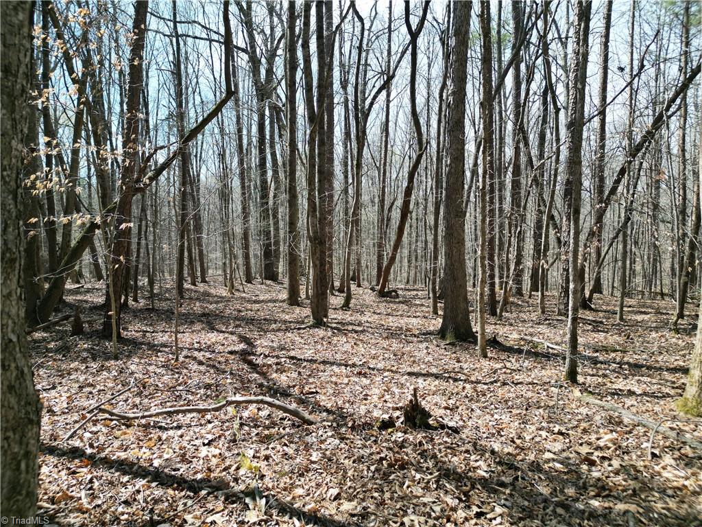 0 Tilden Nursery Road Lexington, NC 27295 - Photo 7 of 27