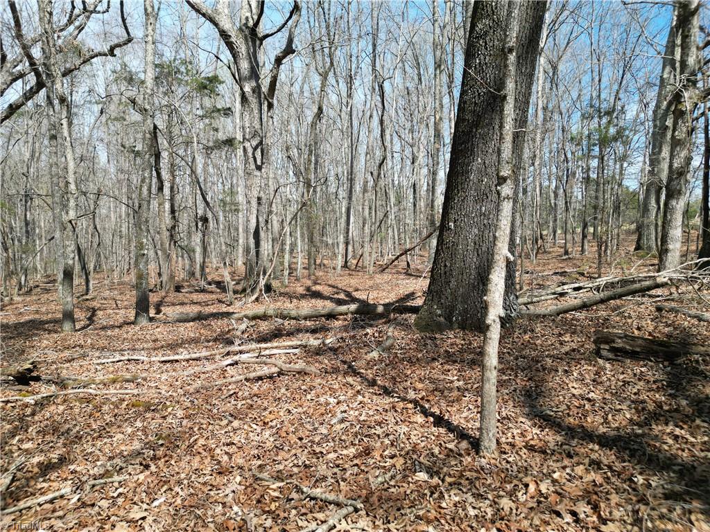 0 Tilden Nursery Road Lexington, NC 27295 - Photo 8 of 27