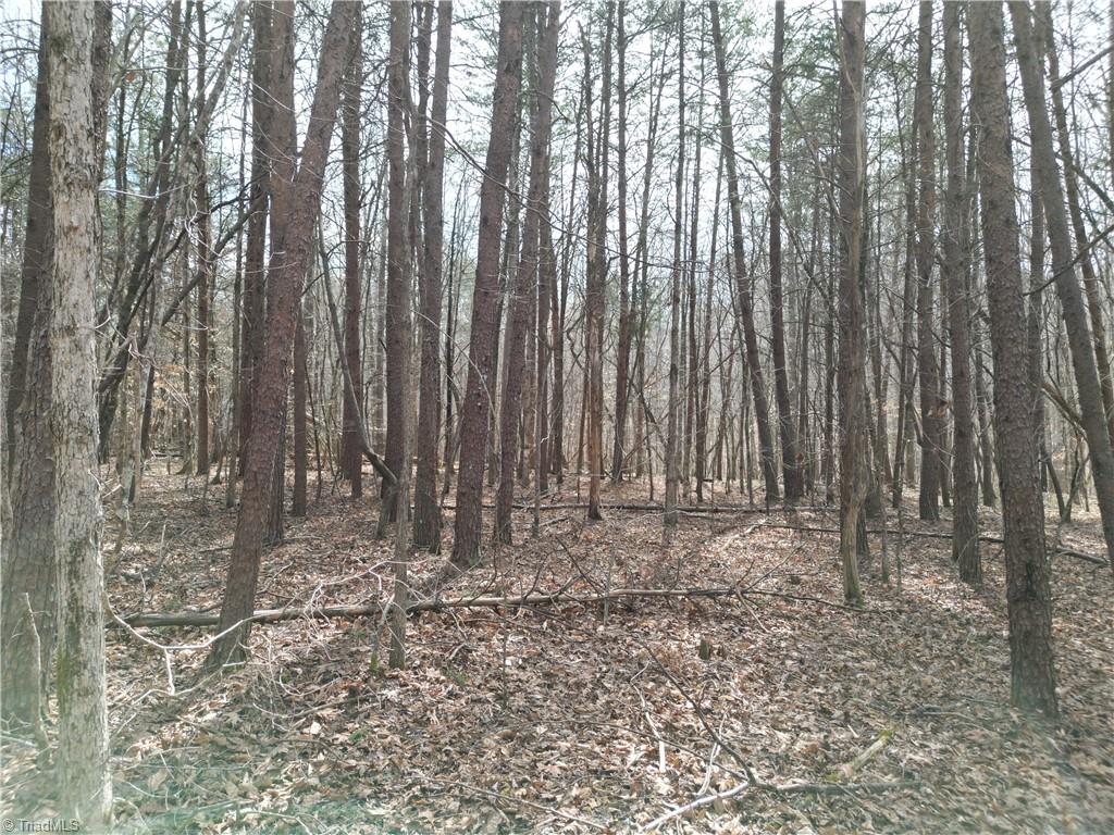 0 Tilden Nursery Road Lexington, NC 27295 - Photo 9 of 27