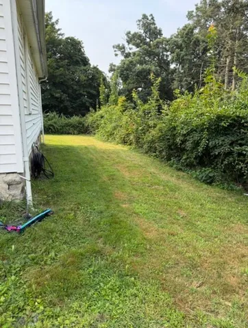 a view of yard with green space