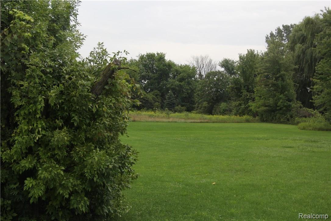 10345 Jennings Road Grand Blanc, MI 48439 - Photo 2 of 10 2.5 Acres (Back-yard)