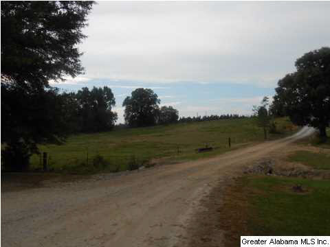 1400 Wilson Chapel Road, Unit 28 ACRES Oneonta, AL 35121 - Photo 3 of 19