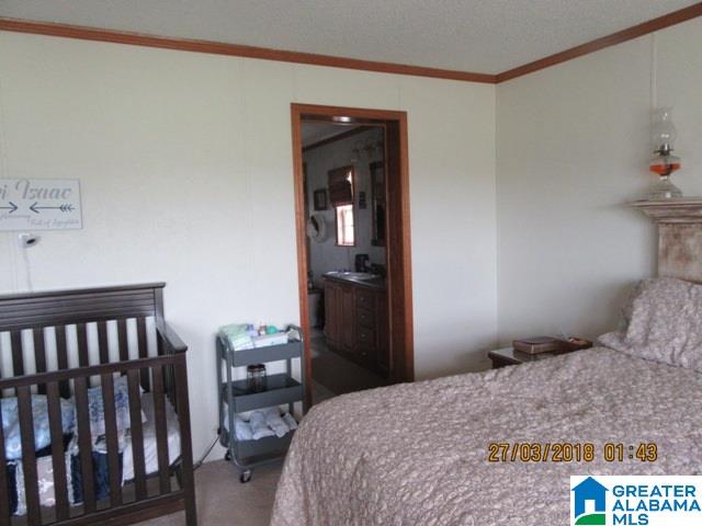 455 Francis Mill Road Ohatchee, AL 36271 - Photo 20 of 49