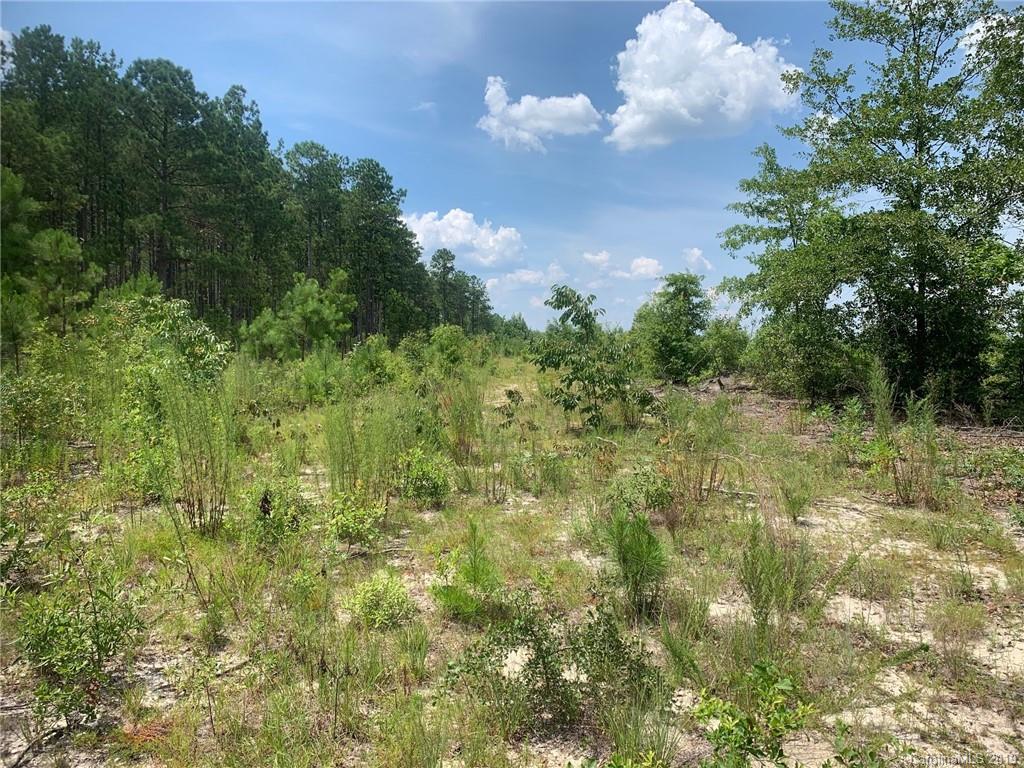 Tbd Ned Williams Road, Unit 7 37 Kershaw, SC 29067 - Photo 3 of 8 Gallery Image 3
