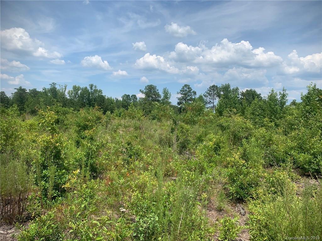 Tbd Ned Williams Road, Unit 7 37 Kershaw, SC 29067 - Photo 4 of 8 Gallery Image 4
