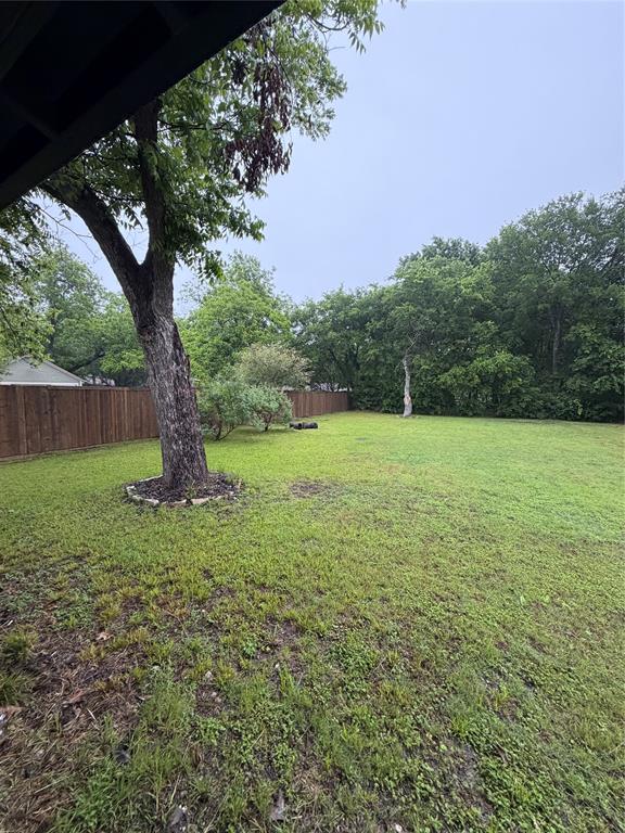 1605 South Houston Street Kaufman, TX 75142 - Photo 8 of 27 a view of a yard with a tree