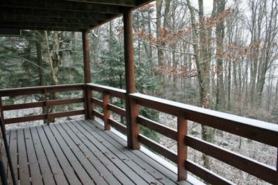 44 West Ridge Road Slatyfork, WV 26291 - Photo 23 of 27 Part of the Lower Deck