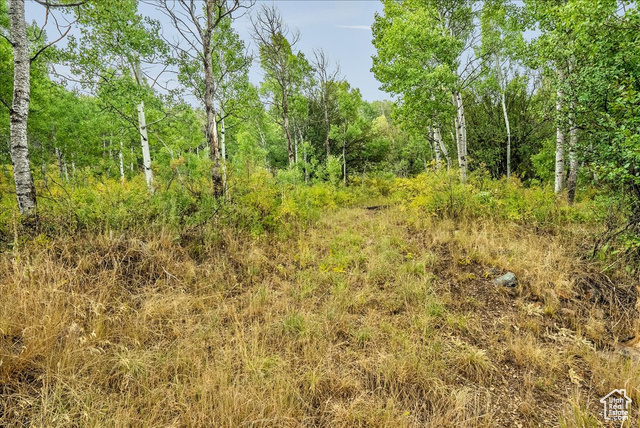5397 East Colter Road, Unit 29 Coalville, UT 84017 - Photo 17 of 27