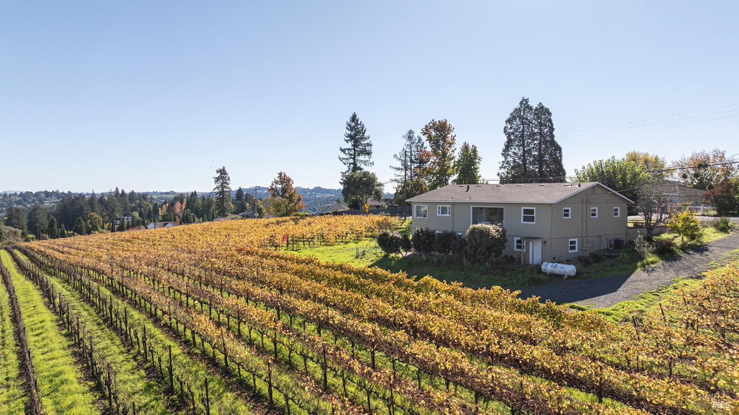 1365 Grandview Road Sebastopol, CA 95472 - Photo 56 of 74