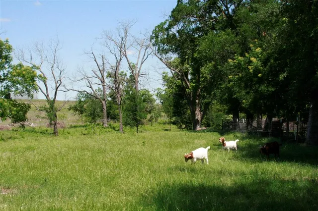 a view of a backyard with a small cabin