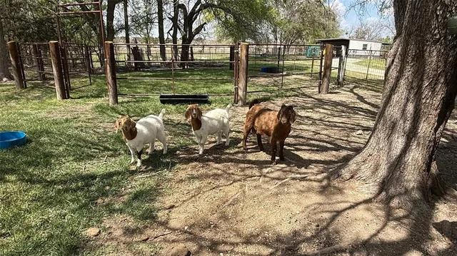 a view of a entryway door of the house
