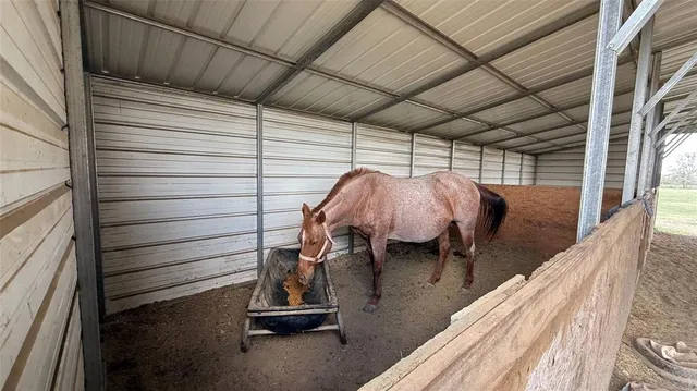 a view of a backyard of a house
