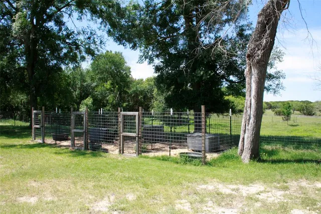 a view of dirt yard with a large tree