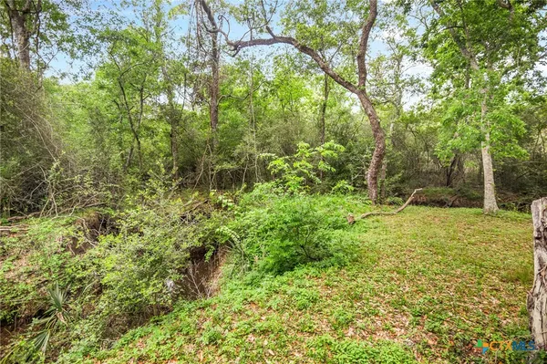 a view of a yard with a tree