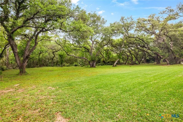 a view of yard with green space and trees