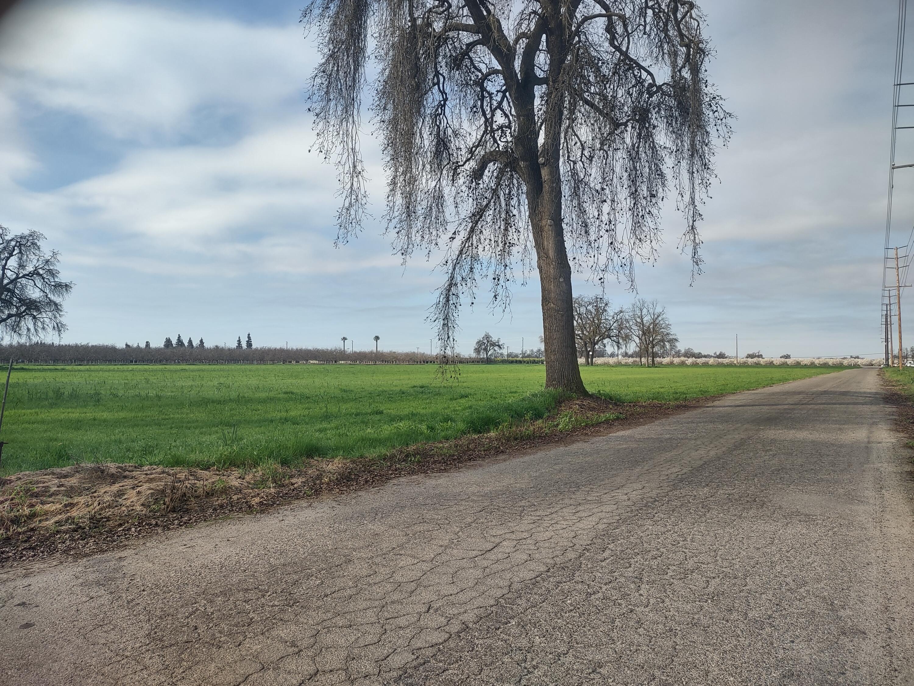 Lovers Lane Visalia, CA 93292 - Photo 8 of 10 (Upload-from-mobile-1771013106)IMG_20260