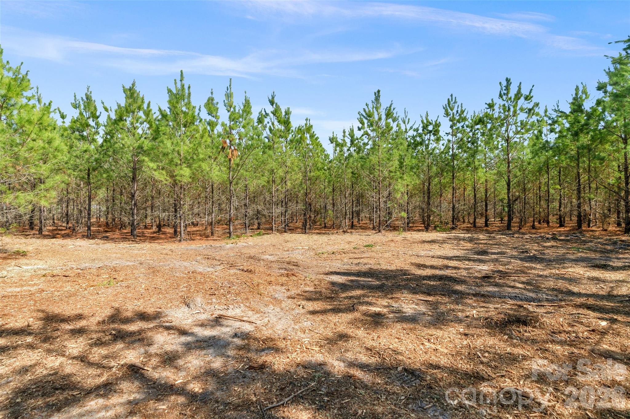 931 Charlie Johnson Road, Unit 11 Kershaw, SC 29067 - Photo 6 of 27 Gallery Image 6