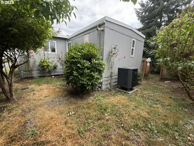 a close up of a flower plants