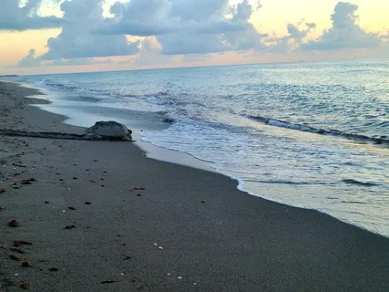 $5,000,000 | 0 Southeast Federal Highway, Jupiter, FL 33469