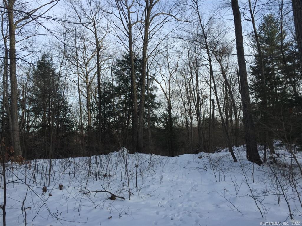 70 French Road Bolton, CT 06043 - Photo 1 of 1