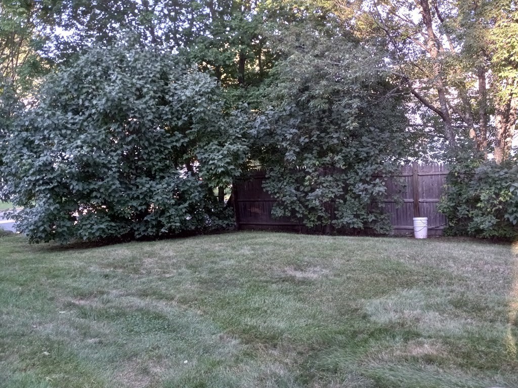 17 Lisa Road, Unit 17 Randolph, MA 02368 - Photo 5 of 21 Gallery Image 5