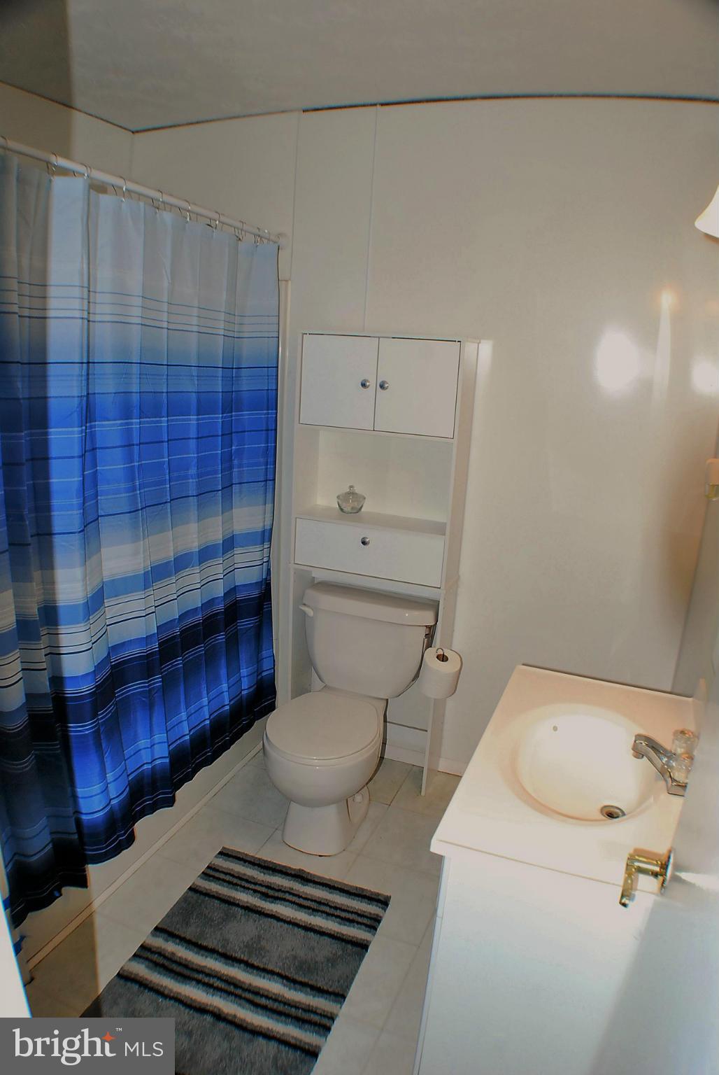 155 Fries Loop Road White Post, VA 22663 - Photo 17 of 29 a bathroom with a sink toilet and shower