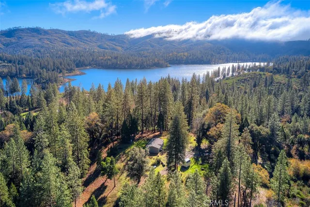 a view of a lake in middle of the forest