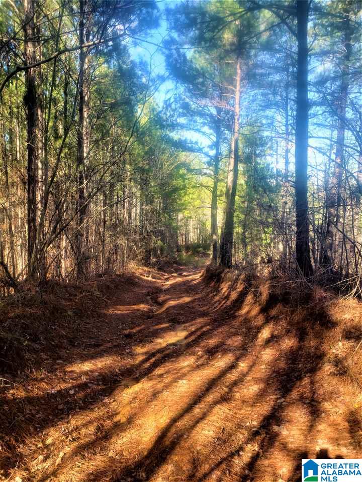 Redman Hall Road, Unit 2 Pinson, AL 35126 - Photo 7 of 12