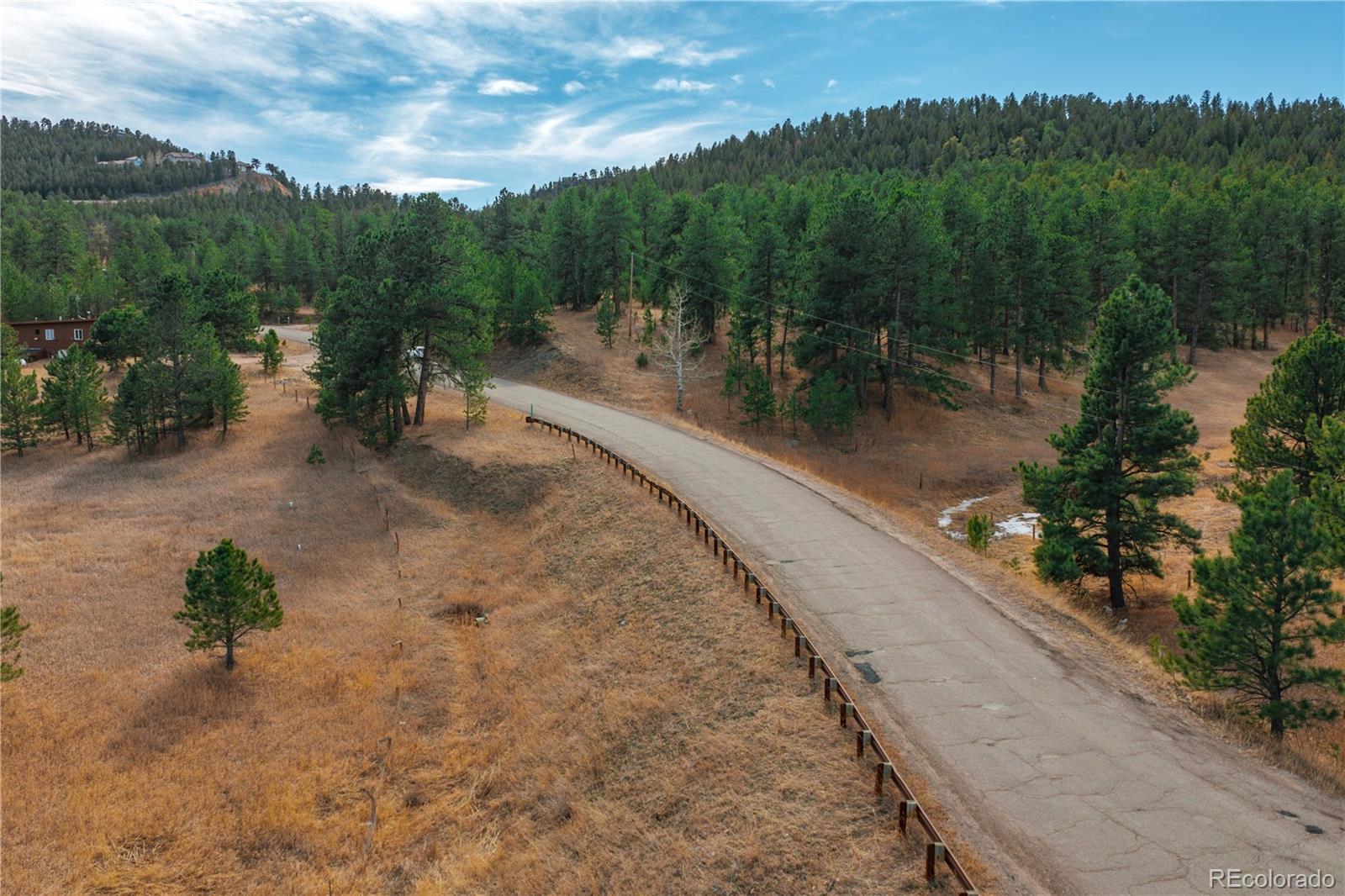 29793 Ruby Ranch Road Evergreen, CO 80439 - Photo 35 of 39 a view of a road with a yard