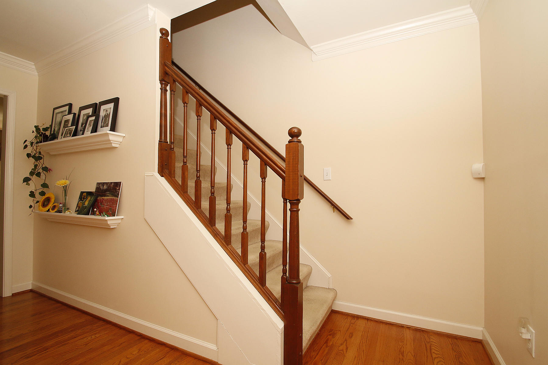 622 Stayman Road Roanoke, VA 24019 - Photo 28 of 76 _MG_1524