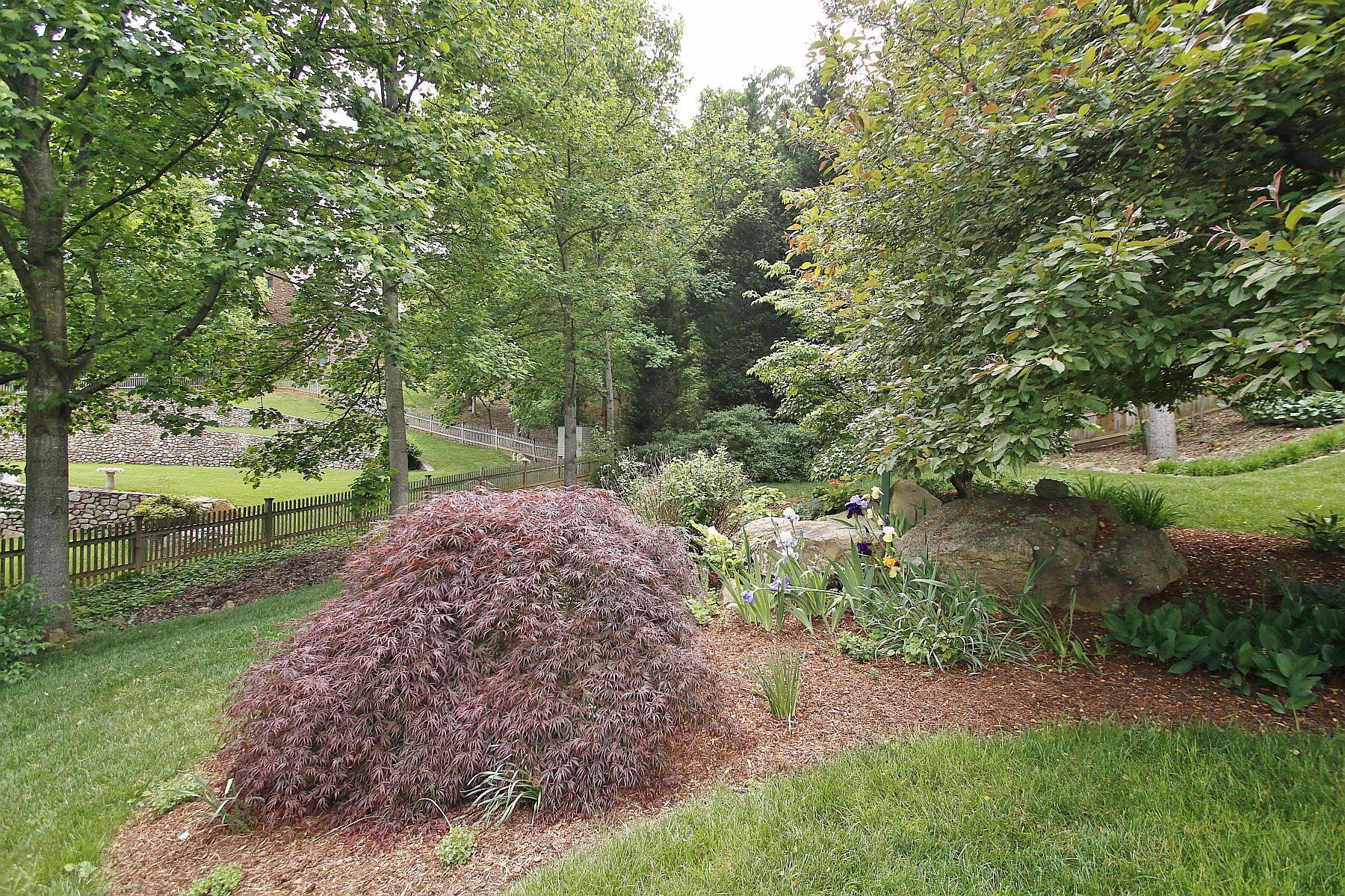 622 Stayman Road Roanoke, VA 24019 - Photo 70 of 76 _MG_1596