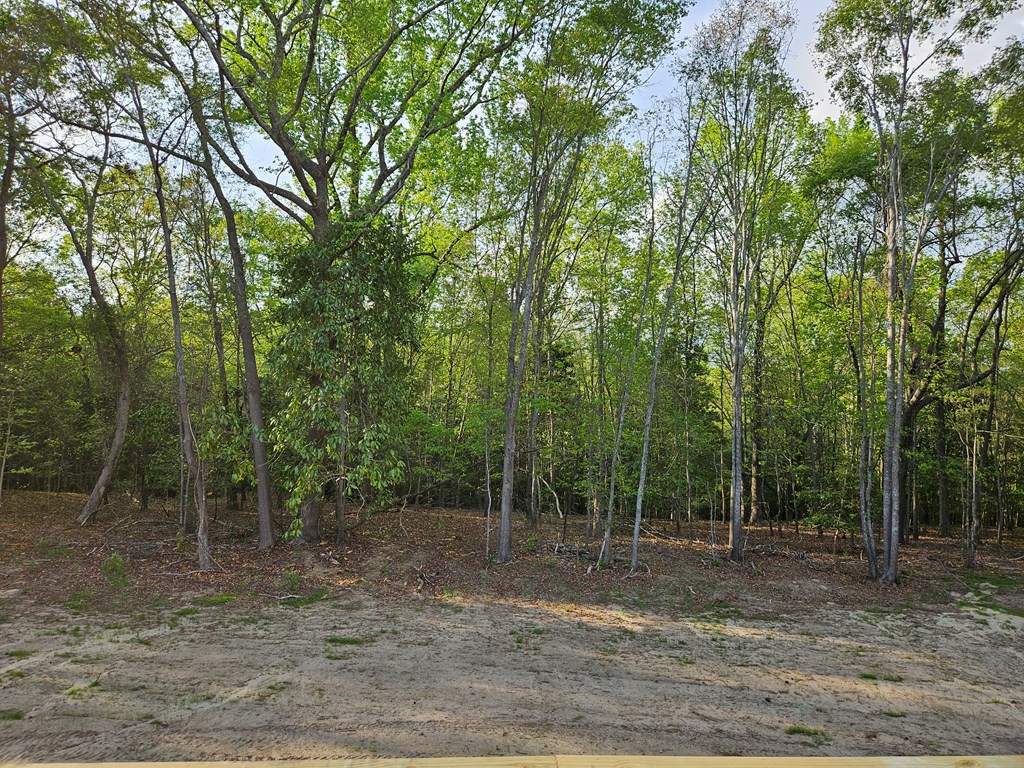 6515 Mill House Road Sumter, SC 29154 - Photo 4 of 21 Photo 4