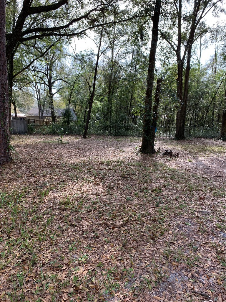 85058 Alger Road Yulee, FL 32097 - Photo 6 of 20 Gallery Image 6
