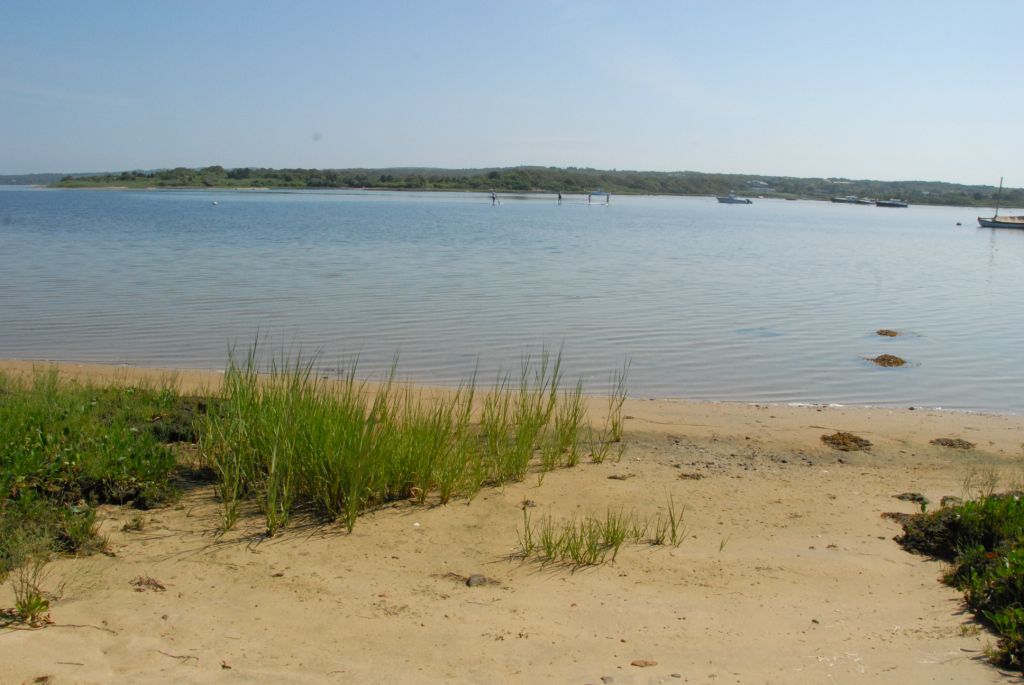 3 Clam Point Cove Road Chilmark, MA 02535 - Photo 8 of 10 Gallery Image 8