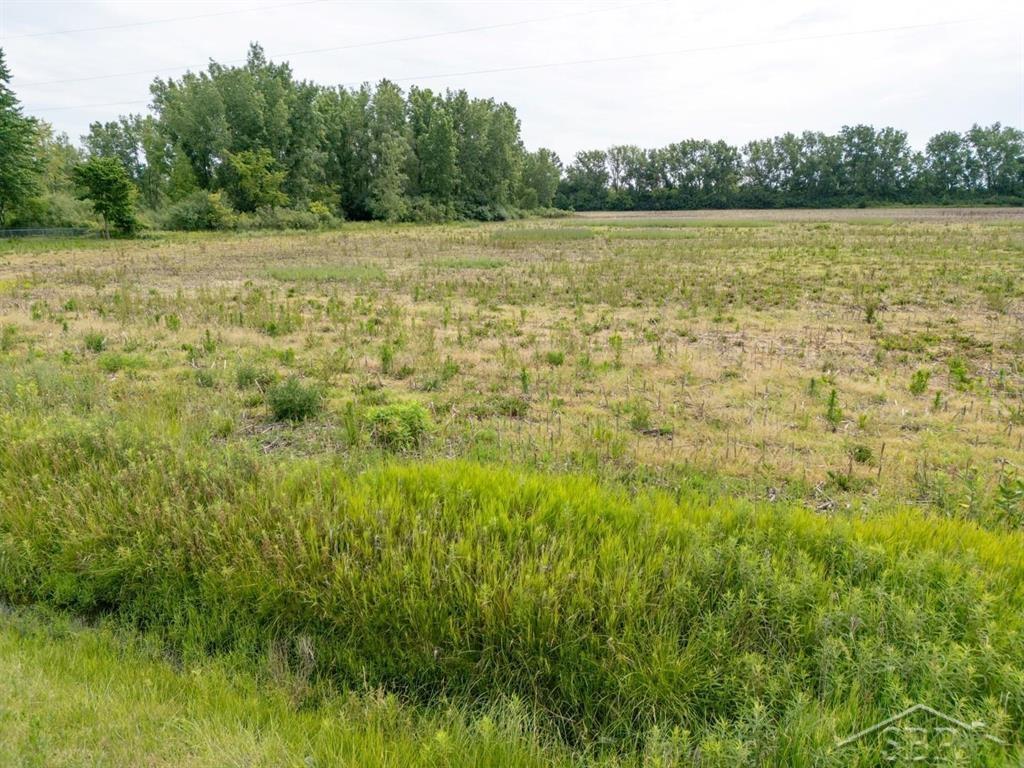 2.56-acres Center Road Saginaw, MI 48604 - Photo 3 of 15