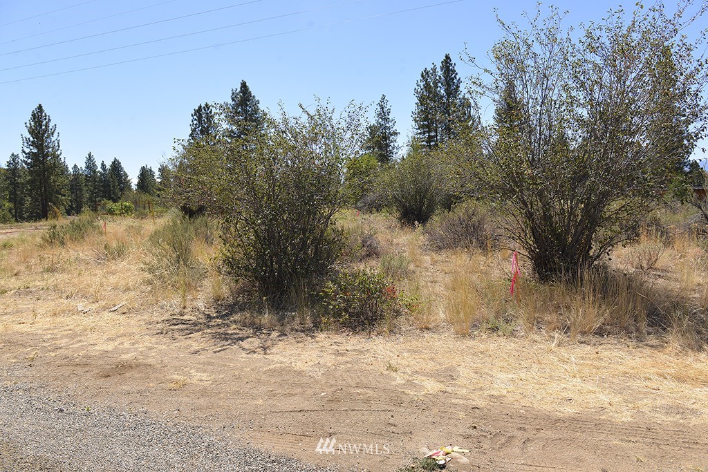 22 Lot Riffle Loop Winthrop, WA 98862 - Photo 3 of 4 Gallery Image 3