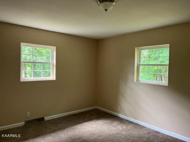 4154 Burnett Road Walland, TN 37886 - Photo 24 of 27 unnamed (70)