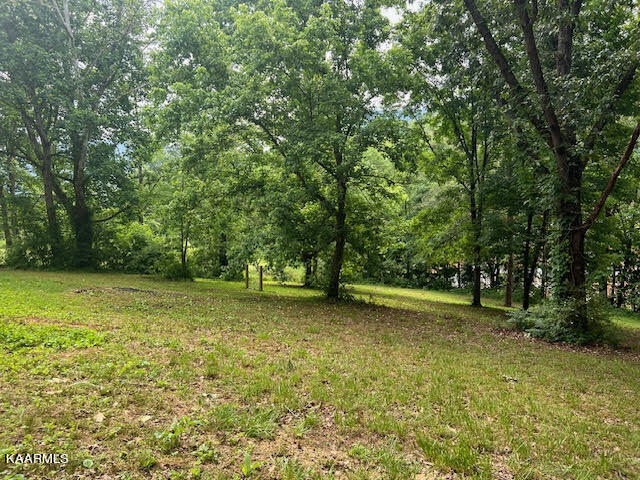 4154 Burnett Road Walland, TN 37886 - Photo 4 of 27 unnamed - 2023-05-16T121228.464
