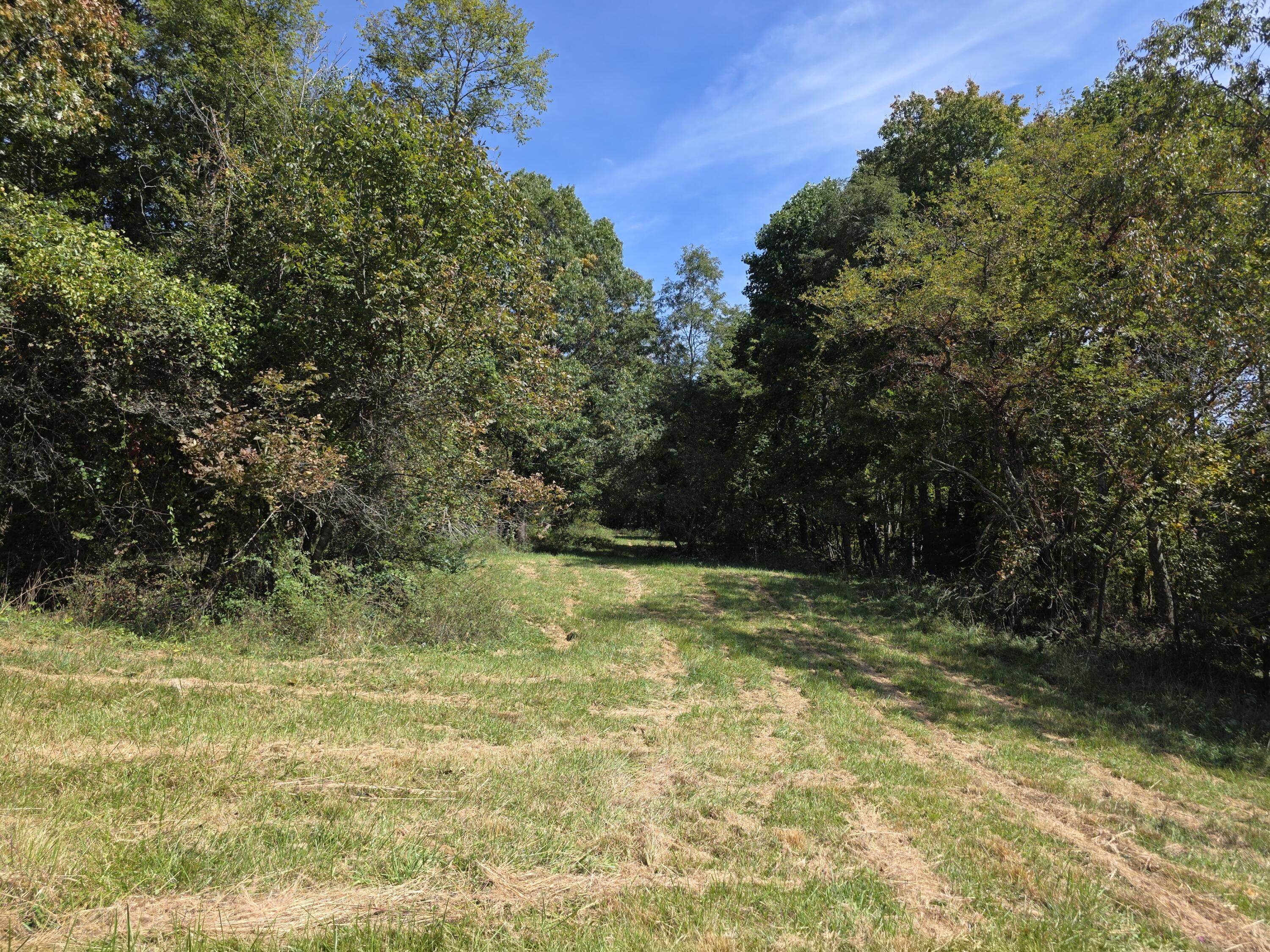 Tbd Ridge Road Northeast Pilot, VA 24138 - Photo 20 of 25 20261002_124649