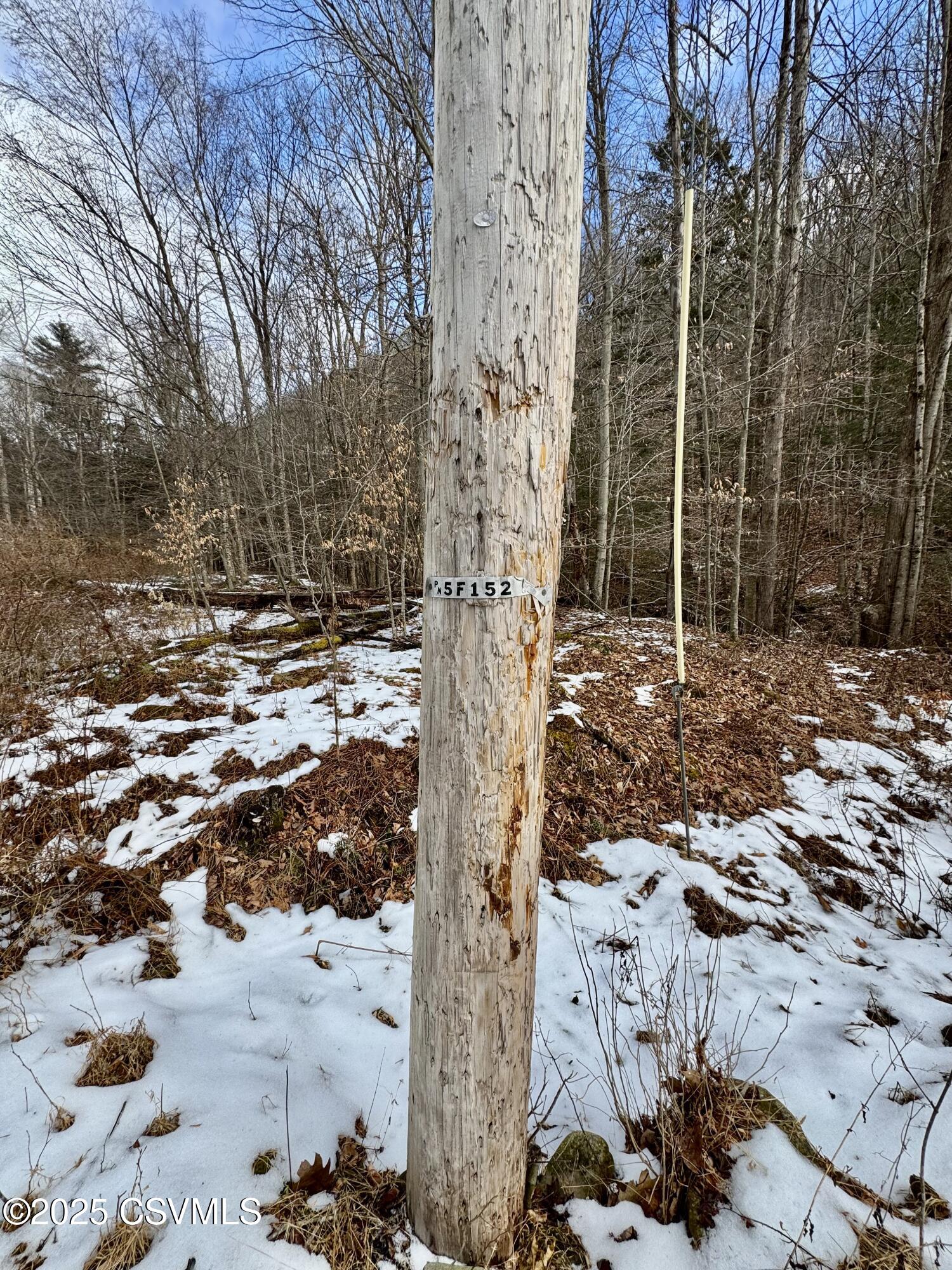 Root Hollow Road Mehoopany, PA 18629 - Photo 15 of 24 Gallery Image 15