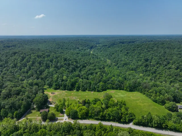 an aerial view of residential houses with outdoor space and trees