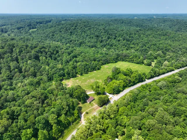a view of a forest with a street