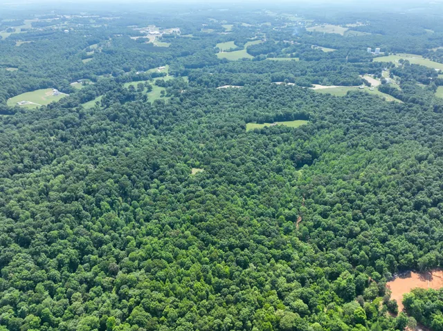 a view of a forest with a houses