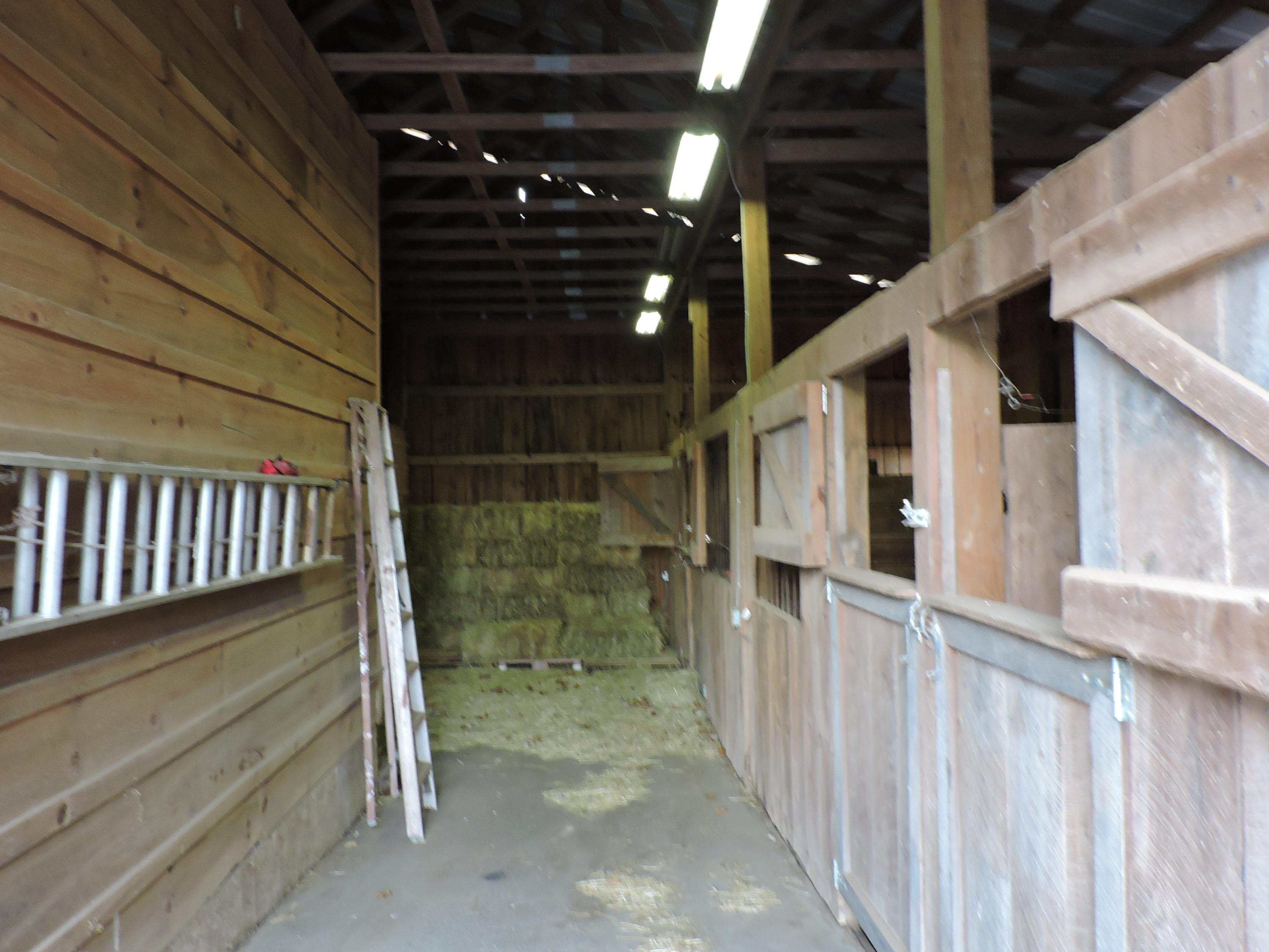 2258 Open Range Road Crossville, TN 38555 - Photo 29 of 34 4 Stalls