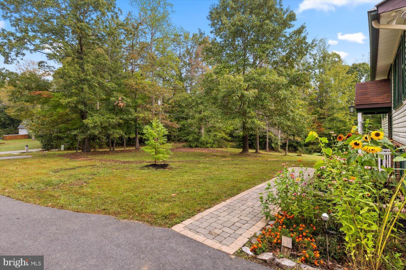 621 Holly Corner Road Fredericksburg, VA 22406 - Photo 31 of 48 Serene garden retreat with vibrant blooms.