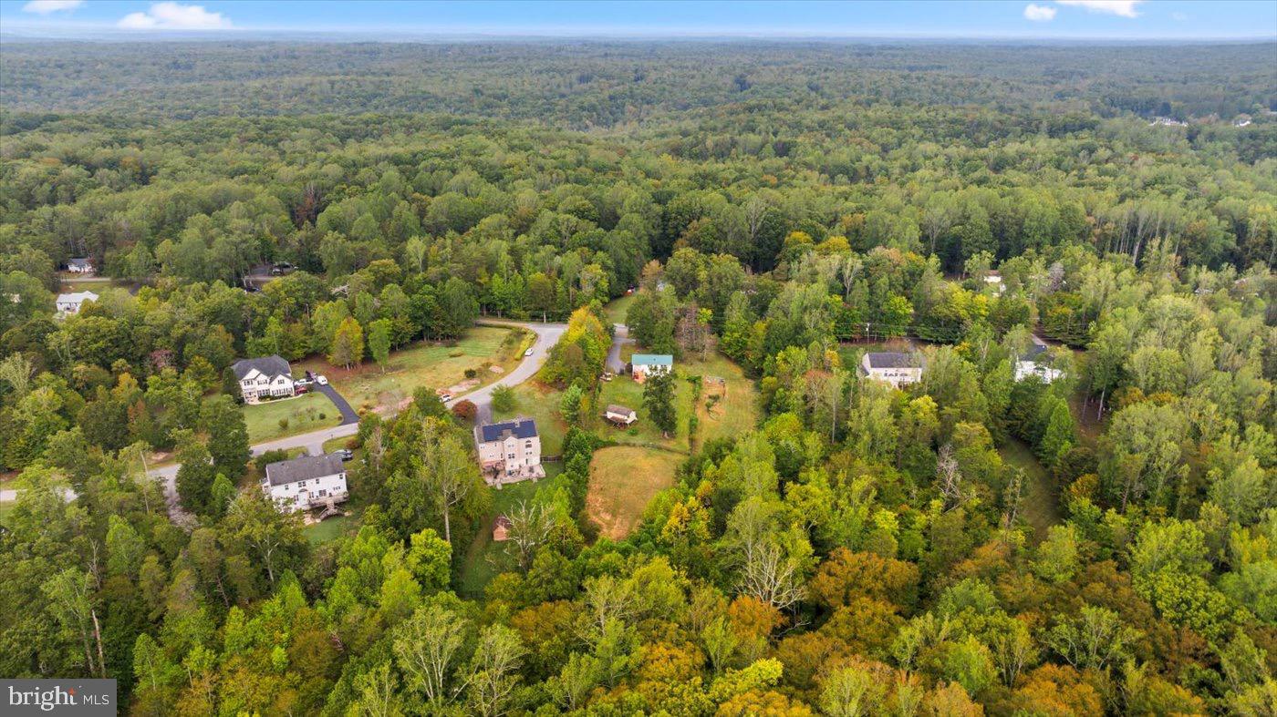 621 Holly Corner Road Fredericksburg, VA 22406 - Photo 36 of 48 Serene homes nestled in lush greenery.
