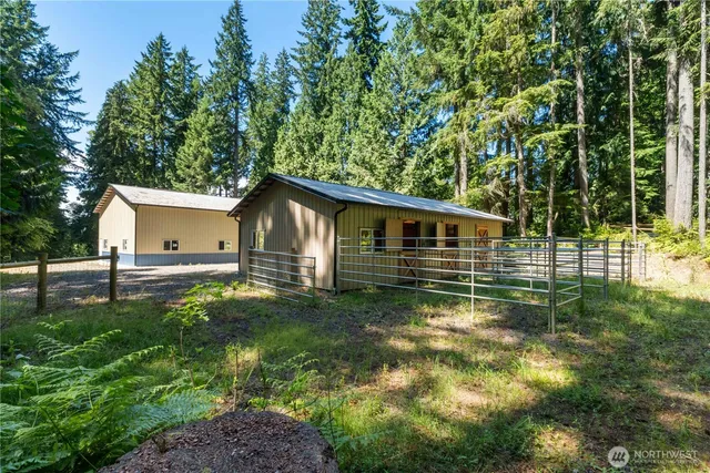a backyard of a house with plants and large tree
